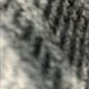 jtraynum